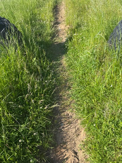 A dirt path winds through tall green grass. Two large black tires are visible on either side of the path, partially obscured by the grass. The tires appear to be old and worn. The scene is illuminated by bright sunlight, casting shadows across the path and grass. The location is an outdoor area, possibly a field or park, within the city of Kurgan, Russia.