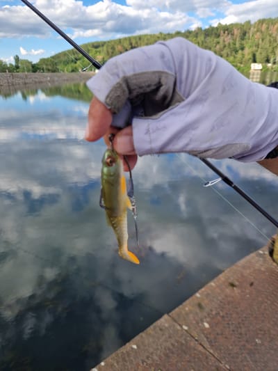 A close-up shot shows a gloved hand holding a fishing lure resembling a small fish, suspended above a body of water. The lure is green and yellow with a hook visible. The hand wears a light purple glove with a patterned design. A fishing rod, black with a white guide, is visible in the foreground, with a fishing line extending from it. The background features a calm body of water reflecting a cloudy blue sky and a tree-covered hillside with some buildings. The foreground includes a rough, reddish-brown surface, possibly a dock or pier. The scene appears to be a fishing activity by the Pancharevo Lake in Pancharevo, Bulgaria.