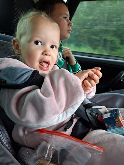 A young child is in the foreground, wearing a pink hooded jacket, with their mouth open and tongue sticking out, as if speaking or eating. They are seated in a car seat. Behind them, another child, partially visible and out of focus, looks out the window at a blur of green trees. The environment is inside a vehicle, with a car seat, seatbelt, and a juice box with a straw visible. The lighting suggests it is daytime, and the outdoor scenery indicates a natural, possibly rural setting. The image appears to be taken in the city of Ленинск, Russia.