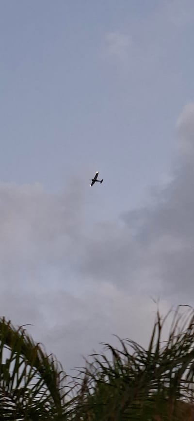 The image captures a small airplane silhouetted against a cloudy sky. The airplane, oriented horizontally, is positioned in the upper-middle portion of the frame. The lower part of the image is partially obscured by the dark, out-of-focus fronds of a palm tree, suggesting a tropical or subtropical environment. The sky is a muted blue, with patches of white and grey clouds. The lighting indicates it might be late afternoon or early morning. There are no people or other discernible objects in the scene. There is no information within the image that would allow for the determination of its location in Haifa, Israel.