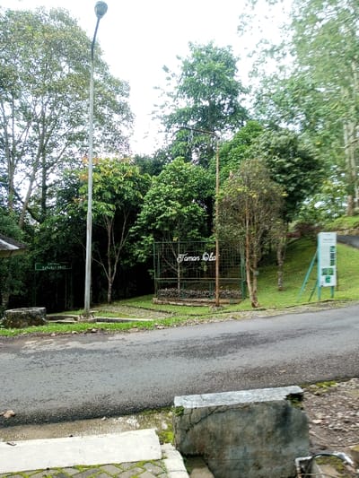 This daytime image captures the entrance to a lush, green botanical or herbal garden, likely under an overcast sky. A paved asphalt road curves through the center of the frame.
On the left side of the road, a tall, slender street lamp stands erect, with dense foliage and large trees in the background. Beneath the lamp, a small green sign with white text reads "KOLEKSI TANAMAN OBAT," which is Indonesian for "Collection of Medicinal Plants." Further left, a concrete structure, possibly a fountain basin or planter, is visible, and the corner of a building's roof peeks out from behind the trees.
To the right of the road, a decorative metal gate with stylized white lettering spells out "Taman Obat," which translates from Indonesian as "Herbal Garden" or "Medicinal Plant Garden." Behind this gate, the landscape is filled with various trees and undergrowth. To the right of the gate, an informational sign on a green stand displays unreadable text and graphics, likely detailing aspects of the garden. The ground on the right slopes gently upwards, covered in grass and more trees.
In the foreground, a concrete block with some moss is visible on the bottom right, and a moss-covered paved surface is seen on the bottom left. The road surface appears somewhat damp in areas. No people are present, and the scene conveys a tranquil, natural atmosphere. The Indonesian text on the signs indicates the specific type of garden and its regional context.