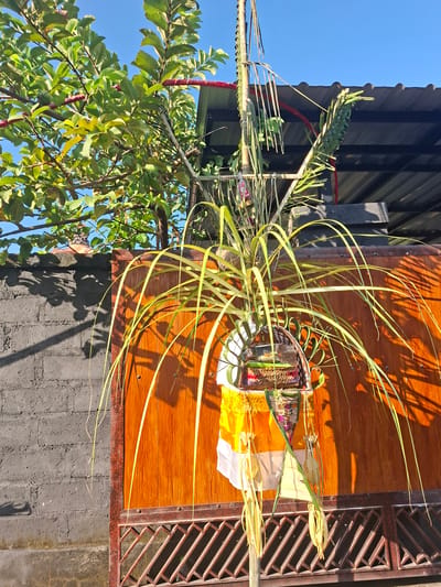An outdoor, eye-level, medium shot captures a religious offering of woven palm leaves and fabric hanging from a bamboo pole. The offering is suspended in front of a wooden gate with a dark grey brick wall to its left. The gate is made of dark reddish-brown metal with a diamond pattern across the bottom half, and the wooden portion features a vertical wood grain pattern. The offering itself is adorned with yellow and white fabric, and it contains a woven basket with several small items inside. Long, thin green leaves hang from the offering, some arching towards the right. To the left of the offering, a tree with abundant green leaves grows, its branches reaching towards the top of the frame. A dark-colored roof with a corrugated pattern is visible in the background, above the gate. The scene is illuminated by bright sunlight, casting shadows on the wall and gate. The sky is a clear, vibrant blue. The location is identified as Blahbatuh, Indonesia.