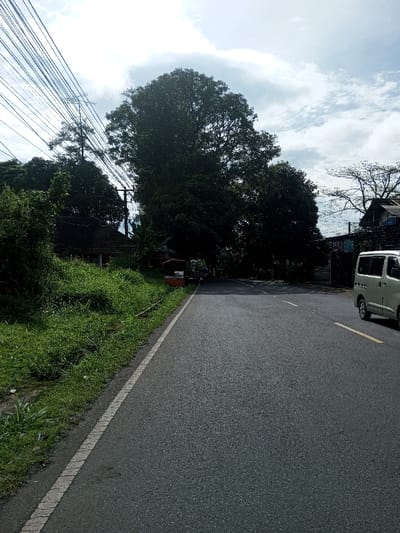 The image displays a paved asphalt road in Domphoog_Dungkarchhoeling, Bhutan, under a partially cloudy sky. The road features a white solid line on its left shoulder and a dashed yellow line indicating a traffic lane to the right. To the left of the road, a steep, grass-covered embankment rises, partially obscuring a structure with a brown tiled roof. Above this embankment, multiple utility lines are strung across the sky, connected to a visible utility pole. Further along the left side, a red and white vendor cart is positioned near the road's edge, partially concealed by dense foliage. Large, dark green trees line both sides of the road, casting shadows and forming a canopy in the distance. On the right side of the road, a light-colored van is partially visible, from its front fender to its rear side door, oriented as if moving away from the viewer. Behind the van, a building with a corrugated metal roof and visible scaffolding is present, partially obscured by trees. No individuals are visible within the scene.