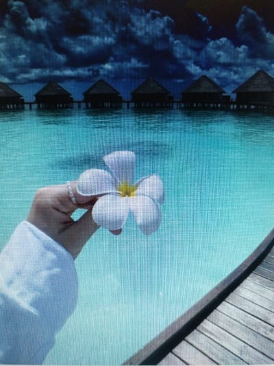 An overwater bungalow resort is depicted, with several thatched-roof huts on stilts extending over turquoise water. The sky is dark and cloudy. In the foreground, a hand wearing a ring holds a white flower with a yellow center. A wooden boardwalk is visible on the right side of the image. There is no identifiable connection to the city of Mahilyow, Belarus.