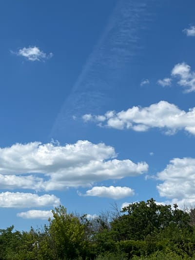 The image captures a bright, sunny day with a vibrant blue sky. The sky is dotted with numerous white clouds, ranging from wispy, thin streaks to larger, more voluminous formations. On the right side of the frame, a dense canopy of lush green trees forms a distinct border, suggesting a natural or park-like setting. The trees are full of leaves, indicating it's likely spring or summer.
The orientation of the image is vertical, with the tree line running along the right edge and the sky filling the majority of the frame. The lighting suggests it's daytime, likely mid-morning to late afternoon, given the brightness and clear visibility of the clouds. There are no people or man-made objects prominently featured, focusing the viewer's attention on the natural elements of the sky and foliage. The overall mood is serene and peaceful, highlighting the beauty of a clear day in a natural environment. The location context provided places this scene in the Taganrog City District, Russia. No text is visible in the image.