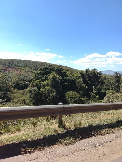 The image displays a daytime outdoor scene captured from a roadside vantage point within Kiambu Township ward, Kenya. A metallic, light grey guardrail, affixed to vertical posts (one visible prominently near the center), spans horizontally across the mid-ground. Below the guardrail, the immediate foreground consists of a cracked, unpaved dirt and gravel shoulder interspersed with patches of dry and green grass, onto which the guardrail casts a distinct shadow. Beyond the guardrail, a dense, verdant expanse of trees and shrubs covers a series of undulating hills that stretch towards the horizon. Some trees exhibit clusters of red elements, consistent with berries or flowers. On the upper slope of the leftmost hill, areas of exposed reddish-brown soil or rock are visible. The upper third of the frame reveals a clear, bright blue sky with scattered white cumulus clouds, more concentrated towards the right side. Faint outlines of distant hills are visible on the far right horizon. No people, animals, or active interactions are present in the scene.
