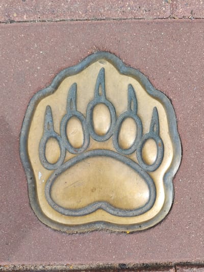 The image shows a close-up, overhead view of a bronze bear paw print embedded in reddish-brown paving stones. The paw print is outlined by a raised metal border and features five toe pads and a larger heel pad, all rendered in a stylized, metallic relief. The bronze has a dull, slightly weathered patina, with some darker areas and lighter scratches visible. The surrounding paving stones are textured with small pebbles and flecks of darker material. The scene is outdoors, and the lighting suggests it is daytime. This particular bear paw print is located on the Millennium Park embankment in Yaroslavl, Russia, as part of a series of decorative elements celebrating the city's history.