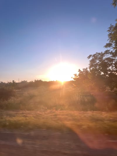 The image depicts a landscape scene bathed in the warm glow of a setting or rising sun. The sun is prominently positioned in the center-left of the frame, casting long rays of light that illuminate the surrounding environment. The sky is a clear, soft blue, transitioning to a lighter hue near the horizon where the sun is. In the foreground, a patch of dry grass and soil is visible, with some motion blur suggesting movement. Beyond this, a field of vegetation, possibly crops or wild grasses, is illuminated by the sunlight, creating a hazy, golden effect. In the middle ground, a line of trees and bushes stretches across the landscape, some silhouetted against the bright sky, while others are caught in the sunlight. Power lines and poles are also visible in the distance, suggesting a rural or semi-rural setting. On the right side of the image, a large tree with dense foliage is partially visible, also bathed in the warm sunlight. The overall impression is one of a peaceful, natural landscape at either dawn or dusk.
The location is identified as the city of Suklieia, Moldova. While the image itself does not contain specific landmarks that definitively identify Suklieia, it is presented as the context for this rural landscape.