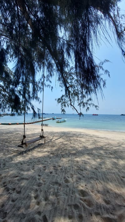 A scenic shot captures a beach in Ko Tao, Thailand. The scene is split between a sandy shoreline on the right and clear turquoise water on the left, meeting at the horizon under a pale blue sky. A swing hangs in the foreground, suspended between a line of orange buoys near the water and the beach. The sand on the shore displays numerous footprints and the shadows of trees that line the beach. The left side of the frame is dominated by the dark, silhouetted branches of a tree, extending into the sky. Several boats can be seen in the distance, scattered across the water.