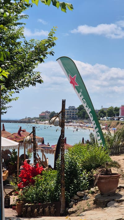 This is a vertical, eye-level, full shot of a beach scene in Ravda, Bulgaria, on a bright, sunny day. In the foreground, to the left, a leafy tree branch with green leaves extends into the frame against a bright blue sky with scattered white clouds. A green and white Heineken flag is prominently displayed, angled diagonally from the top right to the center of the image.
The middle ground of the image reveals a sandy beach with numerous people enjoying the water and sun. Colorful thatched umbrellas are scattered across the beach, providing shade. In the distance, buildings line the coastline.
Closer to the foreground, to the left of the frame, a large, potted red flowering plant is visible. Beside it, a decorative wooden sculpture with multiple turtle-like figures is placed along a wooden railing. Several other decorative elements and plants are present, creating a rustic, outdoor seating area. To the far right, a large terracotta pot holds a withered palm plant. The overall scene depicts a lively beach resort atmosphere, likely a bar or restaurant area adjacent to the beach.