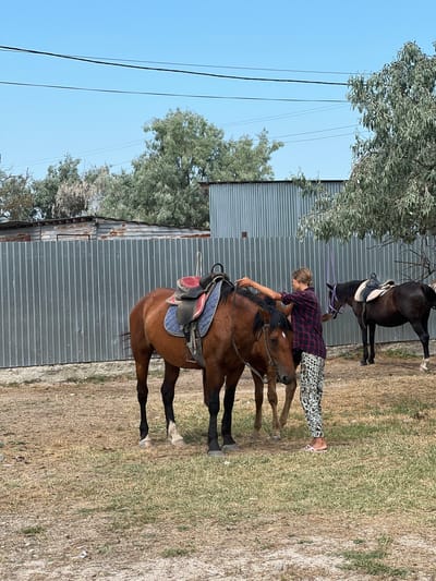 In Unknown, Ukraine, two horses are standing in a dry, grassy enclosure. A young woman, wearing a plaid shirt and patterned pants, is tending to the brown horse on the left, adjusting its saddle. Another dark brown horse is visible in the background to the right, also saddled. A corrugated metal fence runs along the back of the enclosure, with trees and utility wires visible above it. The ground is covered in dry grass and dirt.
