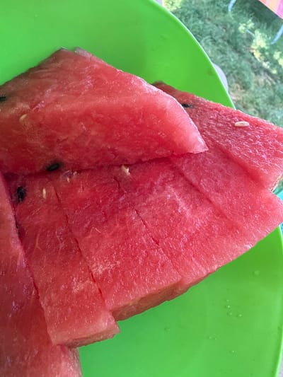 Slices of watermelon are arranged on a bright green plate. The watermelon is bright red and appears to be freshly cut, with some seeds visible. The plate is partially obscuring a grassy area in the background, which is blurred and suggests an outdoor setting. The image appears to be a close-up shot focusing on the fruit. There are no people or specific landmarks visible that would indicate a location within Zornitsa, Bulgaria.