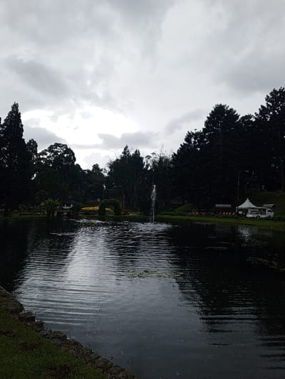 A serene, cloudy day at a park. A dark, reflective lake with a central fountain is surrounded by lush, dark green trees. An arched floral decoration sits on a small island within the lake. A white tent-like structure and van are visible on the far bank. Raindrops pockmark the water's surface, indicating a light shower. The foreground shows a rocky edge with grass.