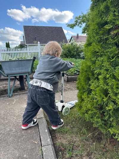 An infant is standing on a scooter in a garden. The infant is wearing a grey sweater and dark jeans. The scooter is white with a blue pattern. In the background, there is a wheelbarrow, a white picket fence, and houses. The sky is blue with white clouds. The location is likely Gvardeysk, Russia, given the architectural style of the houses and the presence of a garden.
