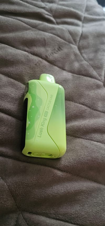 A light green disposable vape pen with "Lush King Pro Cactus Lime" written on its side rests on a textured gray blanket. The vape is oriented vertically, with its mouthpiece facing upward. The blanket is folded and creased, creating a soft, uneven surface. The image appears to be taken indoors, possibly in a bedroom or living area. There is no visible indication of the location being Pabianice, Poland.