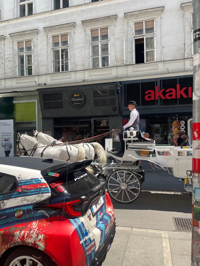 The image shows a horse-drawn carriage traveling down a city street in Vienna, Austria, located at the coordinates 48.21 latitude and 16.374 longitude.  The street is lined with buildings, with an "akaki" store on the right side.  The carriage is white and has a black top. It is pulled by two white horses. A man in a black hat and gray suit is seated in the carriage, holding the reins.  There is a black car to the left of the carriage, partially obstructed from view. There is another car parked in front of a building on the left, also partially visible. The street is paved and has a sidewalk. The sidewalk is lined with trees.  The sky is blue with a few clouds. There are some people walking along the street, and on the sidewalk, one person is wearing a backpack. The building on the right side of the image has a black sign above it.