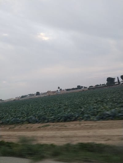A vast, lush green field stretches towards the horizon under an overcast sky. A dirt path separates the field from blurred foreground vegetation, indicating movement. In the distance, buildings and trees line the horizon. The low-hanging clouds cast a soft, diffused light, giving the scene a muted, almost monochromatic palette. The field appears to be meticulously cultivated.