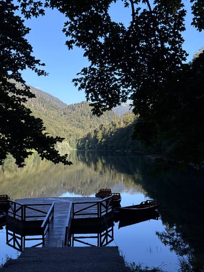 A serene natural landscape is depicted in this vertical, full-shot photograph. The scene captures a calm lake with a wooden dock extending into the water from the lower foreground. Two small wooden boats are moored to the dock. The lake reflects the surrounding environment, which includes a dense forest covering rolling hills and mountains that recede into the background. The sky above is a clear blue, with the silhouettes of tree branches framing the top of the image. The overall impression is one of tranquility and natural beauty, indicative of a location like Sjerogošte, Montenegro. There are no people visible in the image.