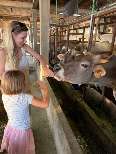 A woman and a young child are interacting with a cow in a barn in Krimovice, Montenegro. The woman, with long blonde hair and sunglasses perched on her head, wears a white tank top and smiles as she extends her hand towards the cow. The child, with short brown hair, is dressed in a striped t-shirt and a pink skirt, with their back to the camera. They are also reaching out towards the cow. The cow, a light brown color with horns, is leaning forward to lick the woman's hand. The barn environment is visible with wooden beams, metal railings, and hay on the ground. The overall scene depicts a friendly encounter between humans and an animal on a farm.