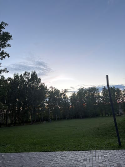 The image depicts an outdoor scene, likely in Nizhnekamsk, Russia, during what appears to be late afternoon or early evening given the soft, diffused light. The sky dominates the left side of the frame, a clear, pale blue transitioning to a brighter, almost hazy horizon where the sun is likely setting or has recently set. Wispy clouds are scattered across this brighter area, catching the light and adding texture.
A line of dark green trees runs horizontally across the middle of the image, their dense foliage silhouetted against the sky. Beyond the trees, a glimpse of what might be buildings is visible, suggesting an urban or park-like setting within the city. A prominent, dark, angular object, possibly a sculpture or architectural element, juts out from the top of the frame and extends downwards, partially obscured by the trees.
To the right of the trees, a neatly mowed expanse of green grass stretches out, suggesting a park or a well-maintained lawn. The right edge of the image is bordered by a textured surface composed of small, grey rectangular tiles, arranged in a grid pattern, possibly a wall or pathway.
There are no visible people or text in the image. The overall mood is serene and tranquil, with the natural elements of the sky and trees contrasting with the man-made tiled surface. The lighting and the long shadows cast by the trees would indicate it's either sunrise or sunset.