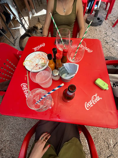 A high-angle shot depicts a red Coca-Cola branded table at an outdoor venue in Monterrey, Mexico. The table is cluttered with various items: empty drinking glasses, straws, a vape pen, several small bottles (possibly hot sauce), a salt shaker, a metal pail with a paper liner, a half-eaten plate of food, and an open beer bottle. Two people are seated at the table. One is wearing an olive green top with a silver necklace, and the other is wearing a dark olive green outfit with rings on their fingers. A dog is visible next to the table, tethered with a leash. The ground is covered with small pebbles.