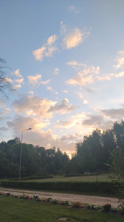 The image depicts a park-like setting in Mailes, Latvia, during what appears to be late afternoon or early evening. The sky is a prominent feature, with patches of light and dark blue, dotted with scattered clouds tinged with warm, peachy hues, suggesting the sun is low on the horizon.
In the middle ground, a line of mature green trees forms a dense backdrop. To the left, a single street lamp with a curved arm stands tall against the sky. A dirt path, bordered by a neatly trimmed, dark green hedge, runs horizontally across the image in the lower half. Along the edge of this path, a colorful array of small flowers—including white, pink, and red varieties—are planted in a decorative line. The foreground consists of a manicured green lawn.
There are no people or animals visible in the image. The scene is static and peaceful, focusing on the natural landscape and manicured park features. The overall impression is one of a tranquil outdoor space bathed in the soft light of dusk.