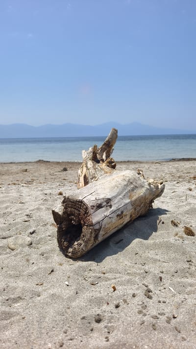 The image is a photograph of a sun-drenched beach with clear blue skies and calm, light blue water. In the foreground, a weathered piece of driftwood lies on the sand, its hollowed-out center revealing the aged texture of the wood. The sand is speckled with small pebbles and debris. In the background, a hazy mountain range is visible across the water. The scene suggests a peaceful, quiet day at the beach, likely in the late morning or early afternoon, given the bright sunlight and clear sky. There is no text visible in the image.