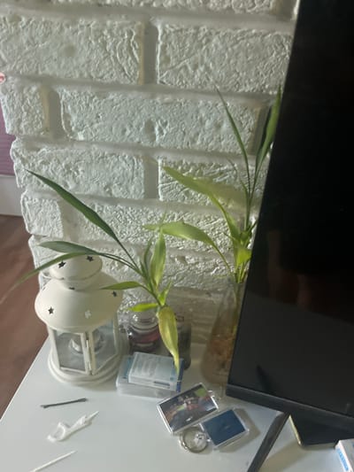 The scene depicts an interior detail shot in Pokrovnik, Bulgaria, focusing on a white tabletop or shelf positioned against a textured white brick-patterned wall. On the left side of the table, a white decorative lantern with star-shaped cutouts is present. To its right, two slender green plants, consistent with lucky bamboo, are rooted in clear glass containers; one is positioned slightly behind the lantern, and the other is further to the right. The left plant's container contains a visible dark substance, likely soil or roots.
Scattered on the white surface are several small items: a black bobby pin, a white Y-shaped dental floss pick, and a partially visible thin white stick-like object. A clear plastic container with a light blue insert, likely containing dental hygiene products, is situated between the left plant and the dark cylindrical object. Closer to the right edge of the frame, near the base of a large, dark rectangular screen (possibly a television or monitor), are two keychains—one rectangular with an indistinct image and another blue rectangular one—alongside a silver-colored ring. No individuals, actions, or direct interactions are depicted within the frame.