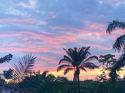 The image captures a sunset scene in Achara, Nigeria. The sky is a blend of blue and pink hues, with streaks of pink clouds spread across. Silhouetted palm trees and other vegetation are visible in the foreground, contrasting against the bright sunset glow. A roofline is barely visible in the lower left corner. There are no people visible in the image. The overall environment suggests a tropical or semi-tropical setting.