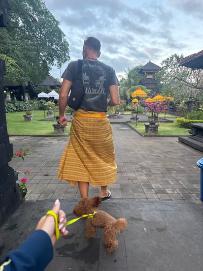 In Dawan, Indonesia, a person from a low-angle perspective holds a leash with a yellow loop, attached to a small brown poodle. The poodle walks on a paved stone path. The leash is held by a person wearing a dark blue jacket with yellow trim. The path leads towards a man wearing a dark t-shirt and a yellow sarong. He is seen from behind, carrying a black bag across his chest. The background shows a lush garden with white umbrellas, pink flowers, and a temple-like structure with a dark roof. The sky is overcast.