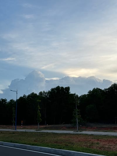 This is a vertical-orientation photograph of a cloudy sky over a tree line and a paved area, likely a road or pathway. The sky occupies the left two-thirds of the image and is filled with a variety of clouds, from wispy cirrus formations on the left to more dense, cumulus clouds on the right, where they appear to be gathering. A bright, hazy area in the sky suggests the sun is behind these clouds, indicating either sunrise or sunset.
The right third of the image shows a dense line of dark green trees, casting shadows. In front of the trees, a light-colored pathway runs parallel to the tree line. To the right of the pathway, there is an area of reddish-brown soil mixed with green grass. A single, slender tree with sparse green leaves stands near the pathway, closer to the trees. Further down the pathway, a blue pole with a white and red striped marker is visible, along with a yellow triangular road sign. A concrete barrier with a white stripe runs along the very edge of the paved area on the far right.
The scene evokes a sense of natural beauty, possibly a park or a coastal area given the location context of Mui Ne, Vietnam. The time of day is likely early morning or late evening due to the quality of light and the cloud formations. The weather appears to be partly cloudy, with a potential for rain given the build-up of cumulus clouds. There is no discernible text of significance other than the road sign.