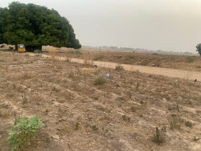 A parched landscape of dry grasses and soil spans the upper portion of the image, dotted with sparse green vegetation. A dirt path cuts through the arid field. In the distance, a hazy horizon merges with the sky. At the bottom of the frame, a lush green tree dominates the foreground, partially obscuring a parked yellow vehicle. The overall scene suggests a rural, dry environment.