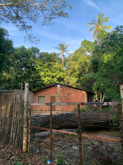 In El Valle del Espíritu Santo, Venezuela, a rural scene unfolds under a clear blue sky with scattered wispy clouds. A modest, single-story brick house with a red-tiled roof stands partially obscured by lush green foliage and tall trees, including a prominent palm tree. The house features two windows with barred frames and a simple entrance. A rough stone and brick wall borders the property, reinforced with wooden stakes. In the foreground, a rusty metal fence with barbed wire runs horizontally across the frame, partially obscuring a large fallen tree trunk that lies behind it. The ground is covered with dry leaves and sparse vegetation.
