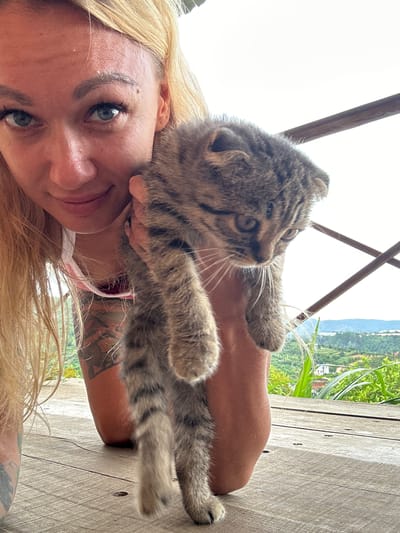 A young woman with blonde hair and blue eyes is holding a tabby kitten. She is looking at the camera with a slight smile. The kitten is gray and brown with distinctive markings. They are both on a wooden deck, with a view of a lush green landscape in the background. The location is Thôn 3, Vietnam, as indicated by the presence of bamboo structures and tropical vegetation typical of rural Vietnamese villages. The woman's arm and chest are visible, and she is wearing a white top with pink trim. The kitten is held in her left arm, and its paws are visible. The overall atmosphere is relaxed and informal, suggesting a moment of leisure.