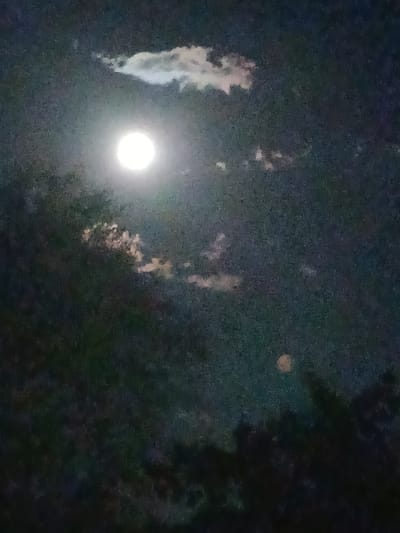 The image depicts a moonlit night sky with a full moon prominently visible in the upper left quadrant. Wispy clouds are scattered across the dark sky, some illuminated by the moonlight. Silhouetted trees form a dark band along the bottom of the frame, suggesting a natural or park-like setting. The overall scene is one of nocturnal tranquility. The location is identified as Kyzyl Suu, Kyrgyzstan.