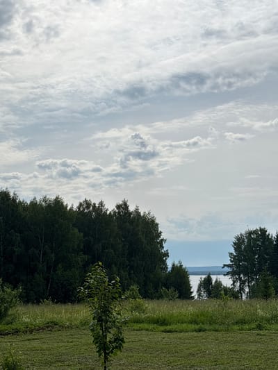 The image depicts a serene, natural landscape. In the foreground, a mown grassy field stretches out, with a small, leafy sapling positioned towards the right. Beyond the field, a dense, dark green forest borders the horizon, its trees forming a thick, undulating line. In the distance, a wide body of water, likely a lake or river, is visible, its surface reflecting the overcast sky. The sky itself is filled with a textured layer of clouds, ranging from wispy to more defined formations, with patches of brighter sky peeking through. The overall impression is one of a tranquil, rural setting, possibly in the vicinity of Chastyye, Russia, given the characteristics of the landscape. There are no people or animals visible in the image.