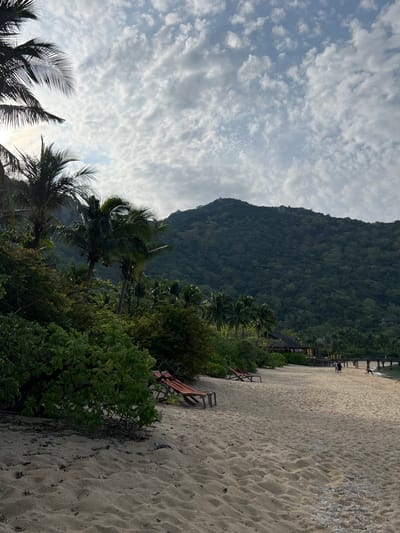 The image captures a tranquil beach scene in Đông Ninh Hòa, Vietnam. The foreground is dominated by soft, light-colored sand, showing gentle ripples and some scattered debris. Two empty orange lounge chairs are positioned on the sand, hinting at relaxation. Lush green vegetation, including palm trees and dense bushes, lines the edge of the beach, leading towards a forested mountain that rises in the background. The mountain is covered in a thick canopy of trees. A wooden pier extends into the water on the right side of the frame, where a few indistinct figures can be seen walking. A small thatched-roof building with yellow awnings is visible near the pier, suggesting a resort or dining area. The sky is partially cloudy, with textured white clouds against a pale blue backdrop. Sunlight filters through the clouds, casting a soft light on the scene.