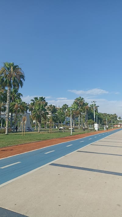 This media file captures a serene outdoor scene in Yenişehir, Turkey, under a clear blue sky with a few wispy clouds. The time of day appears to be late morning or early afternoon, with bright sunlight casting distinct shadows, suggesting pleasant weather.
The foreground is dominated by a paved walkway with a distinct blue lane marked with white dashes, likely a designated path for cycling or rollerblading. Adjacent to this blue lane is an orange-colored track, possibly for running, and a strip of green grass. Palm trees are a prominent feature throughout the scene, lining the park area.
In the middle ground, a park area features more palm trees, grassy lawns, and several individuals enjoying the outdoors. Some people are seated on benches, while others are walking or standing. A prominent monument or statue stands on a pedestal, with a few people gathered near it. Buildings can be seen in the background, suggesting an urban or semi-urban setting. Streetlights are also visible, indicating the area is well-equipped for public use.
Further along the walkway, more people are seen strolling, and the path continues into the distance, lined with palm trees and more parkland. The overall mood of the image is peaceful and inviting, conveying a sense of leisure and community. No visible text is present in the image.