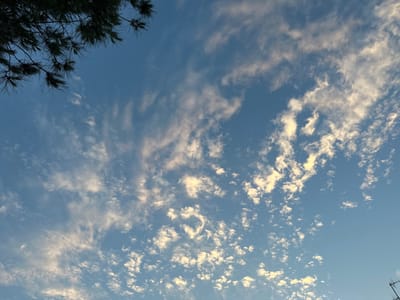 The image shows a clear blue sky with scattered white clouds. In the upper left corner, there are dark green pine branches. The clouds are wispy and appear to be illuminated by the sun, creating a textured effect against the blue sky. The scene is captured from a low angle, looking upwards. There is no indication of Villa Pasquali, Italy in the image.