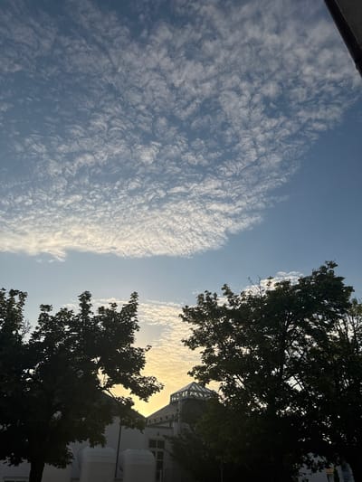 The image captures a sky filled with altocumulus undulatus clouds, characterized by their wave-like patterns, set against a clear blue sky. The lower portion of the frame is dominated by the silhouettes of trees with dense foliage, framing a building. The building features a distinctive glass-roofed structure. The lighting suggests it is either sunrise or sunset, with a warm glow emanating from behind the trees and illuminating the clouds. The scene appears to be an outdoor urban or suburban environment. The photograph was taken in Sankt Wendel, Germany.