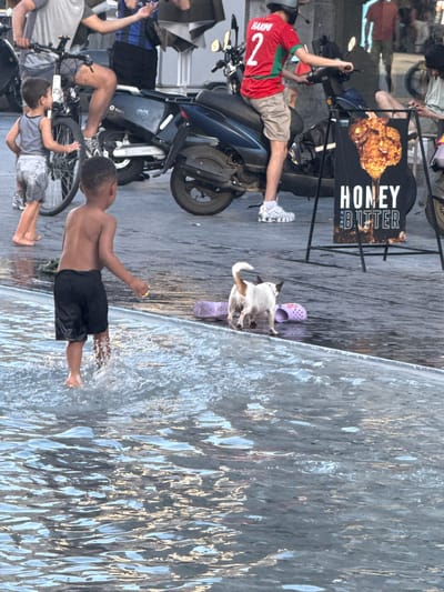A vertical image shows a street scene with several people and a dog near a water feature. In the foreground, a young boy wearing black shorts splashes in the water. To his left, an adult sitting on a scooter wears a red and green jersey with the number 2 and "HAKIMI" on the back. Behind them, a sign displays an image of fried chicken with the words "HONEY BUTTER" in large white text. A small, light-colored dog stands near a pair of purple sandals by the water's edge. The scene appears to be outdoors, possibly in a public square, with the wet pavement and the reflective surface of the water suggesting a bright day. The overall atmosphere seems relaxed and casual, with a mix of people enjoying the surroundings. The presence of scooters and bicycles indicates a common mode of transportation in the area. The text on the sign, "HONEY BUTTER," suggests a food vendor or advertisement.