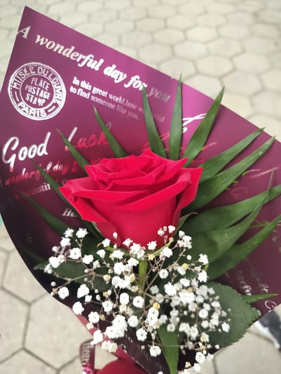 The image shows a close-up of a bouquet with a single red rose as the focal point, accompanied by baby's breath and green leaves. The bouquet is wrapped in a dark pink paper that has silver lettering. Part of the lettering reads "A wonderful day for you," "Good Luck," and "In this great world, how wonderful it is to find someone like you." There is also a circular emblem with text that appears to read "MUSEE DU LOUVRE," "PLACE POSTAGE STAMP," and "PARIS." The background is a light-colored hexagonal tile pattern, suggesting an outdoor paved surface, possibly a sidewalk or plaza. The lighting suggests it is daytime.