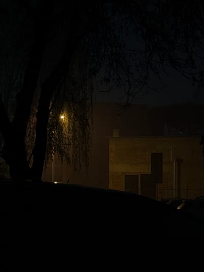 A dark, obscured scene features bare tree branches silhouetted against a night sky. A building with lit windows stands behind the trees, appearing flipped vertically. A street light casts a faint glow on the foliage below. A large, dark object occupies the right side of the frame, partially obscuring the view. The overall mood is mysterious and unsettling.