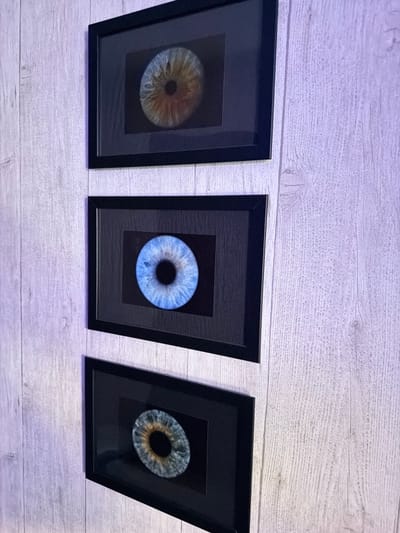 This media file features three framed close-up photographs of human irises displayed on a light-colored, wood-paneled wall. The irises are varied in color: the leftmost one displays a blend of brown and blue, the middle one is a striking blue, and the rightmost one shows a combination of brown and blue-grey. The frames are simple and black, creating a stark contrast with the artwork and the background. The lighting suggests an indoor setting, possibly a home or gallery, with a slight purple hue cast on the lower part of the wall and frames, indicating artificial lighting. The wood paneling is horizontally oriented and has a textured, slightly weathered appearance. There is no visible text in the image. The overall presentation is artistic and minimalist. Given the location context of Norilsk, Russia, the scene likely takes place indoors to escape potentially harsh weather conditions outside. The irises themselves evoke a sense of individuality and the beauty of human features.