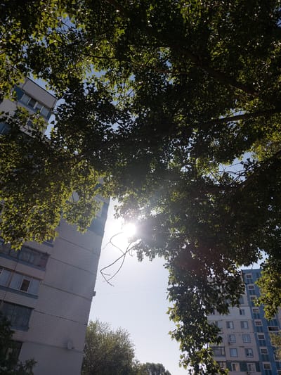 This is a low-angle, eye-level shot looking up at a bright, sunny sky partially obscured by the lush green leaves and branches of a large tree. The sun is a prominent feature, creating a lens flare and washing out parts of the sky.

On the left side of the frame, a tall, multi-story apartment building is visible. Its facade is covered in light-colored square tiles, with rows of windows and balconies. The building appears to be constructed of concrete and has a somewhat aged appearance.

On the right side, another apartment building can be seen, also multi-story, with a different facade pattern of alternating light and blue colored tiles. This building also features numerous windows.

At the bottom of the image, more trees with dense green foliage are visible, adding to the natural element within the urban setting.

The scene suggests a residential area in the city of Kamianske, Ukraine, likely a typical urban landscape with apartment blocks and mature trees providing shade. The overall impression is of a bright, warm day, possibly in the summer. There are no people or animals visible in the frame, and no specific actions are depicted, other than the passive presence of the buildings and the natural growth of the trees. The lighting suggests it is daytime, with the sun high in the sky.