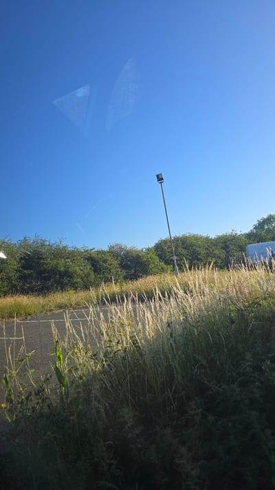 The image shows a tall lamppost with a rectangular light fixture at its top, situated in an outdoor setting. The lamppost is positioned to the right of a paved road, which runs diagonally across the lower left portion of the frame. A dense line of green trees and bushes forms a backdrop behind the road and the lamppost. In the foreground, a field of tall, dry grass with some yellow wildflowers is illuminated by the sun, creating a hazy, backlit effect. The sky is clear and blue. The image was taken in Wicken, United Kingdom.
