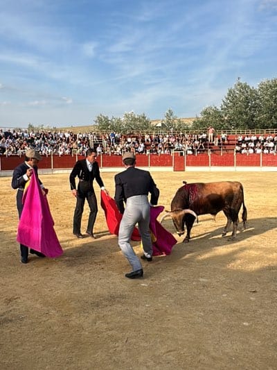 The image captures a bullfight scene in what appears to be a traditional arena. Three men, dressed in formal attire, are engaged with a bull. One man on the left holds a pink cape, another in the middle wears a black suit with suspenders, and the third on the right brandishes a red cape. The bull, a large brown animal with noticeable markings on its upper back, stands prominently in the center. In the background, a crowd of spectators fills the stands, enclosed by a red barrier. The environment is an open sandy ring under a clear blue sky. The location is the city of San José del Valle, Spain.