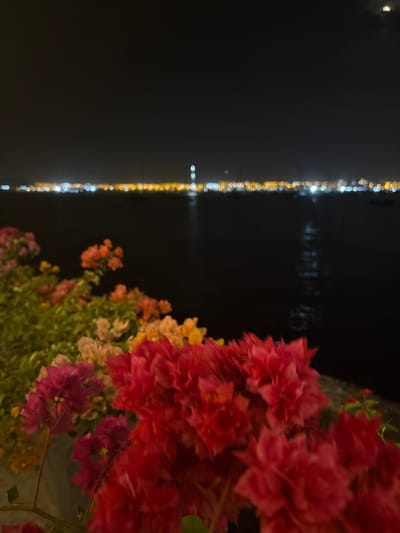 At night in Ancón, Peru, a line of out-of-focus yellow and white lights stretches along a dark body of water. Clusters of red, orange, yellow, and pink flowers are on the right side of the image.