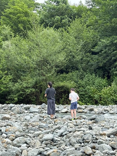 This image depicts an outdoor scene, reportedly in Lagodekhi, Georgia, centered on a rocky riverbed bordered by dense vegetation. In the foreground and midground, the ground is entirely covered by numerous irregularly shaped grey rocks of various sizes, indicating a dry riverbed with a visible, narrow stream of clear water flowing between rocks in the lower mid-section.
Two individuals are positioned on the rocky terrain, facing away from the camera towards the background. To the left, an adult figure, wearing a dark grey short-sleeved t-shirt and dark grey trousers, stands with dark hair pulled back. To the right, a child, wearing a white short-sleeved t-shirt, blue shorts, and bright yellow-green athletic shoes, stands a short distance from the adult. Both individuals are static, observing the dense foliage ahead.
The background is dominated by a solid wall of lush green trees and bushes, extending across the entire width of the frame. The vegetation displays varying shades and textures of green, signifying a dense, natural forest or riparian growth. The overall lighting suggests an overcast sky or diffused daylight conditions.