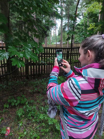 A woman with gray hair, wearing a colorful striped jacket, is holding a smartphone in her hands, taking a photograph. The subject she is photographing appears to be green foliage in front of a wooden fence. The scene takes place in a wooded area, with additional trees and greenery visible in the background. The ground is covered in dirt and vegetation. An empty drink can sits in the lower right-hand corner of the image. There is no specific information in the image to determine if this is Kratovo, Russia.